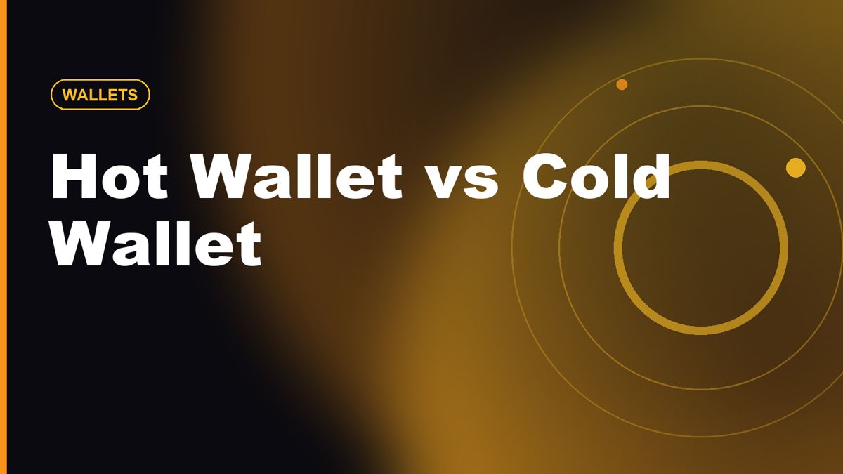Hot Wallet vs Cold Wallet: Which Crypto Setup Is Right for You?
